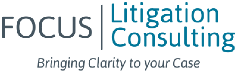 Focus Litigation Consulting, LLC